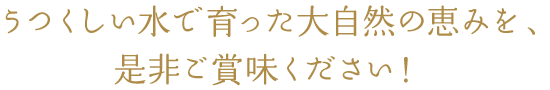 美しい水で育った大自然の恵みを、是非ご賞味ください！